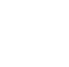 LUNAR MOON